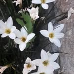 Francesca - @francesca_cecchini04 - Instagram