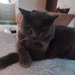 Francesca Cerrone - @francesca.cerrone.71 - Instagram