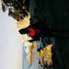 franchesca chacon - @franchesca_chacon - TikTok