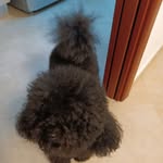 Francesca Ciani - @francescaciani1969 - Instagram