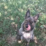 Francesca Hillyer Combs - @francescacombs - Instagram