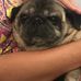 Francesca Comer - Facebook