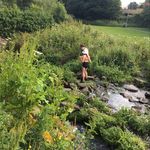 Francesca Comer - @francesca_comer - Instagram