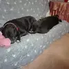 Francesca Conte - @francesca.conte69 - TikTok