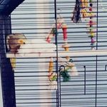 Francesca Cozzi - @francycozzi2006 - Instagram
