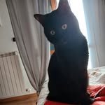 Francesca Cozzi - @disastro9292 - Instagram