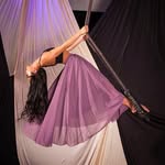 francesca fox // dmv performer - @aerial.fran - Instagram