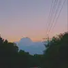 Francesca Fox - @user66954904244959 - TikTok