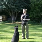 Francesca Freeman - @evolution_cainine_academy - Instagram