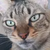 Francesca Freeman - @francesca.freeman - TikTok