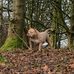 Francesca Harrison - Facebook
