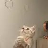 henryfrancesca5 - @henryfrancesca5 - TikTok