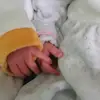 Francesca Marco - @francescamarco81 - TikTok