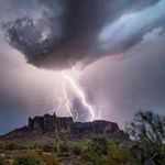 Francesca Newman McBride - @francescanewmanmcbride - Instagram