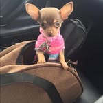 Francesca Middleton - @darla_chi - Instagram