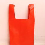 Francesca Middleton - @colourpopvinylcarrierbag - Instagram