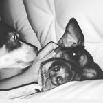 Francesca Misceo - @kekka_gian - Instagram