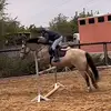 Francescaoneilleq - @frankietheeq - TikTok
