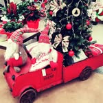 Francesca - @francescaotto72 - Instagram