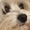 francesca pispisa - @francescapispisa - TikTok