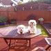 Francesca Mary Rowan - Facebook