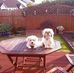 Francesca Rowan - Facebook