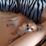 Francesca Triolo - @triolo26 - Instagram