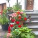 Francesca Troiani - Facebook