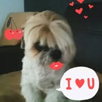 Francesca Vickers - Facebook