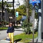Francesca Mocerino Vincent - @francescamocerino50 - Instagram