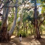 Francesca Wang - @pardonmyfranch - Instagram