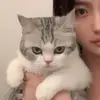 Francesca Wang - @francesca_wang - TikTok