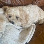 Francesca Ward - @francescaward061 - Instagram