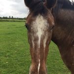 Francesca Ward - @francescxward - Instagram