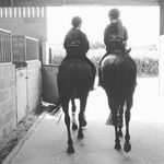 Little Meadow - Francesca Way - @littlemeadowfarm1 - Instagram