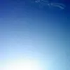 Berti Francesco - @berti.francesco - TikTok