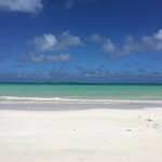 Francesco Berti - @berti1378 - Instagram