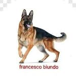 Francesco Biundo - @francescobiundo_ilgiardiniere - Instagram