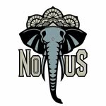 FRANCESCO CONTE - @notussurfboards - Instagram