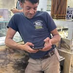 Francesco Fedele - @francescofedele08 - Instagram
