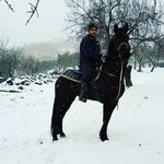 Francesco Leanza - @ci97ccio - Instagram