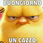 Francesco Nardelli - @frec.t1980 - Instagram