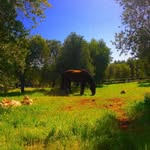 Francesco Nardelli - @francesco.nardelli.7982 - Instagram