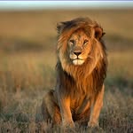 francesco rende - @francesco_r30 - Instagram