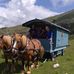 Francesco Traini - Facebook