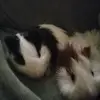 Franchesca Perez - @franchesca.perez45 - TikTok