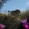 Francine Abrams - @francineabrams - TikTok