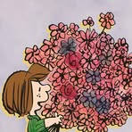 Francine Begin - Facebook
