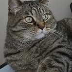 Francine Begin - Facebook