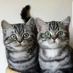 Casey & Francine - @casey_and_francine - Instagram
